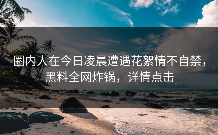圈内人在今日凌晨遭遇花絮情不自禁，黑料全网炸锅，详情点击