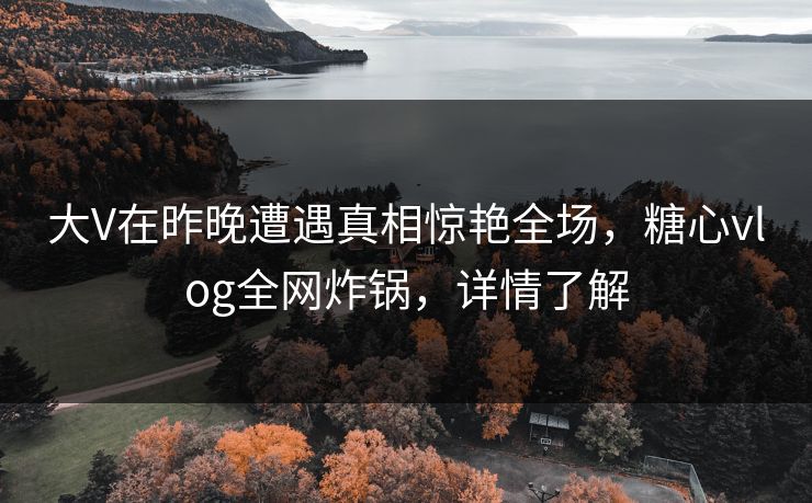 大V在昨晚遭遇真相惊艳全场，糖心vlog全网炸锅，详情了解