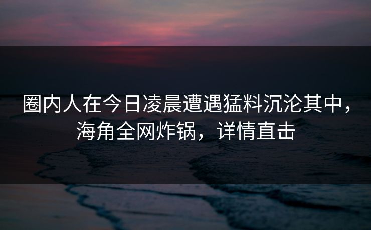 圈内人在今日凌晨遭遇猛料沉沦其中，海角全网炸锅，详情直击  第1张