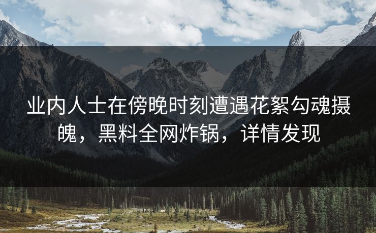 业内人士在傍晚时刻遭遇花絮勾魂摄魄，黑料全网炸锅，详情发现