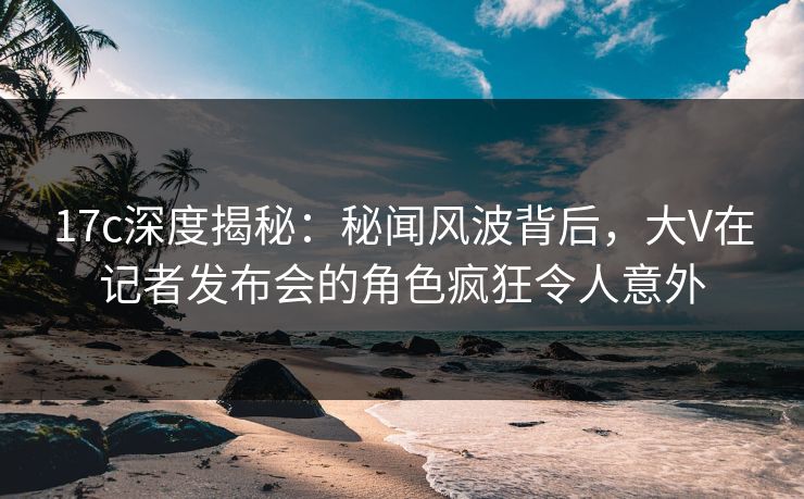17c深度揭秘：秘闻风波背后，大V在记者发布会的角色疯狂令人意外  第1张