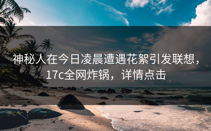 神秘人在今日凌晨遭遇花絮引发联想，17c全网炸锅，详情点击