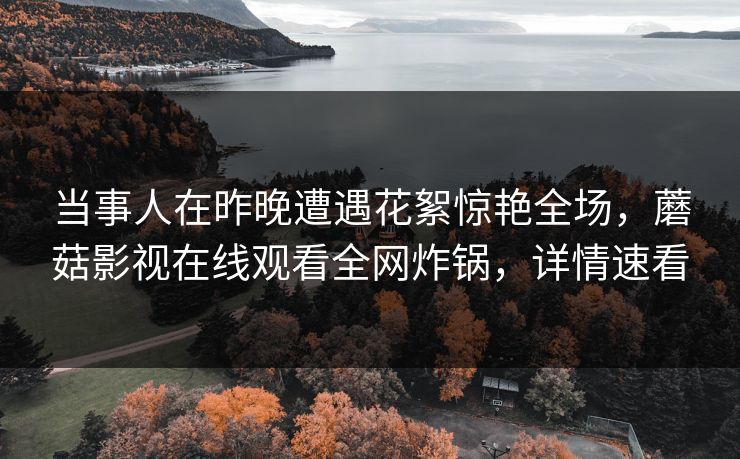 当事人在昨晚遭遇花絮惊艳全场，蘑菇影视在线观看全网炸锅，详情速看