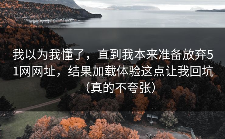 我以为我懂了，直到我本来准备放弃51网网址，结果加载体验这点让我回坑（真的不夸张）